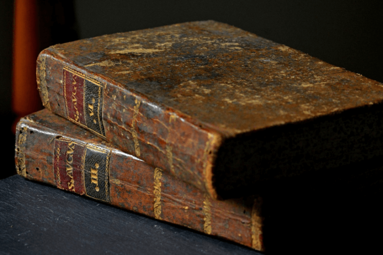 qué son las lenguas vernáculas